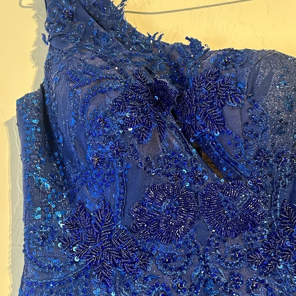 Portia and Scarlett Royal Blue Feathered Gown - Picture 6 of 14